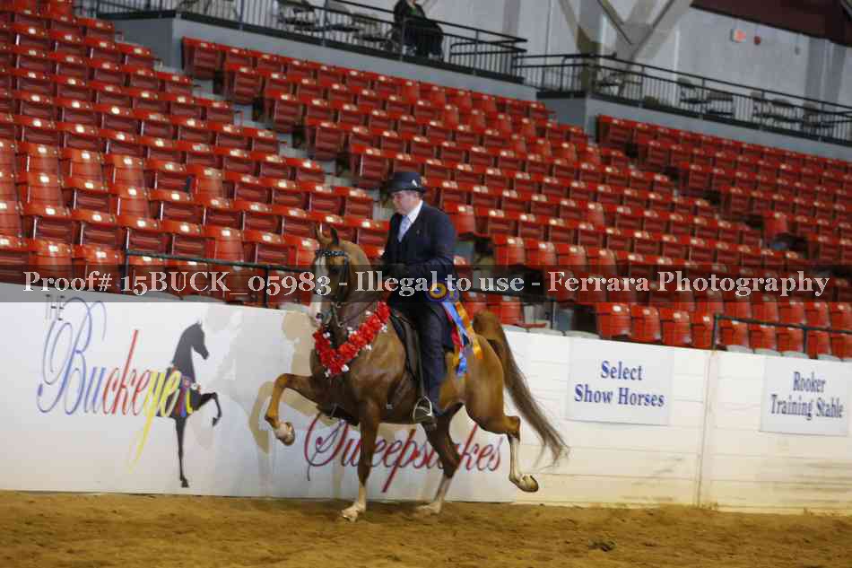 Proof 15BUCK_05983