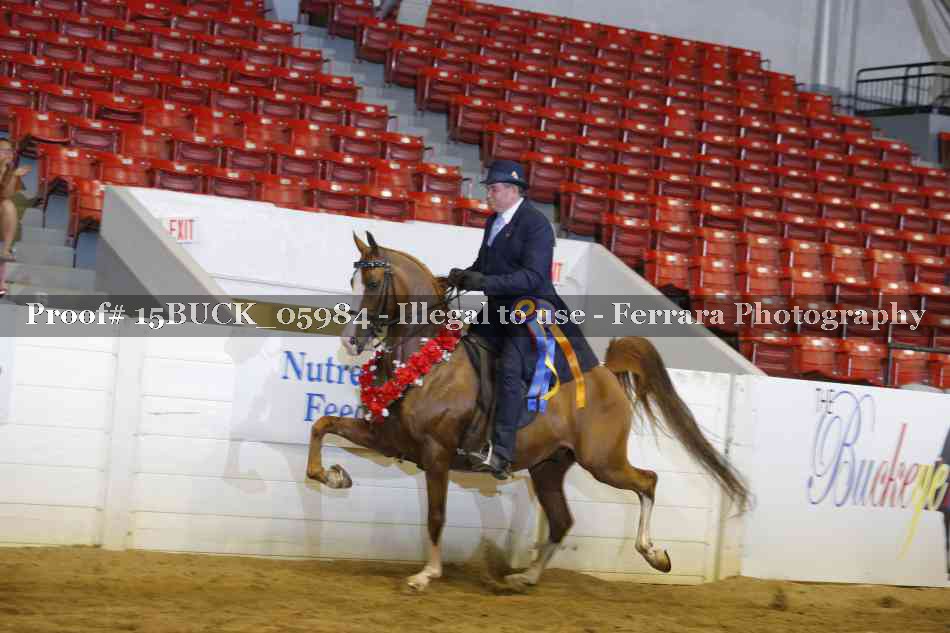 Proof 15BUCK_05984