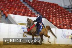 15BUCK_05984 proof