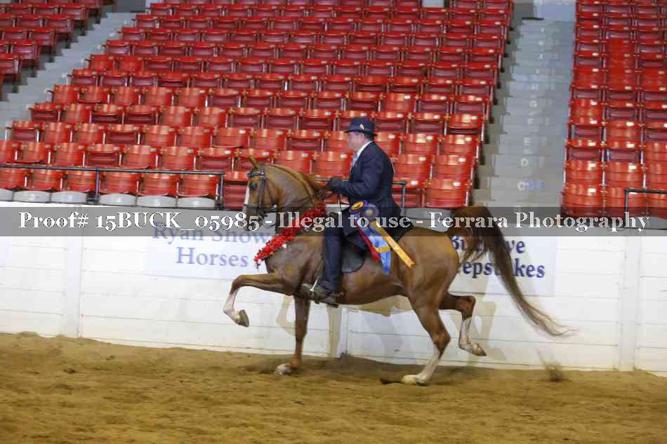 Proof 15BUCK_05985