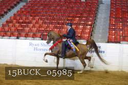 15BUCK_05985 proof