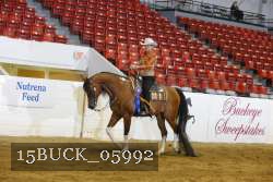 15BUCK_05992 proof