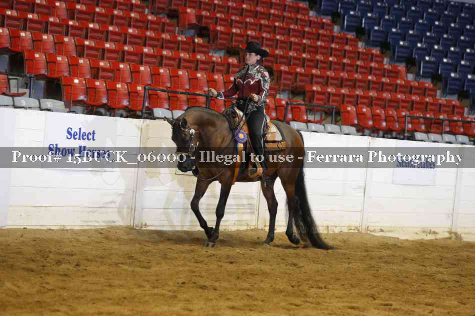 Proof 15BUCK_06000