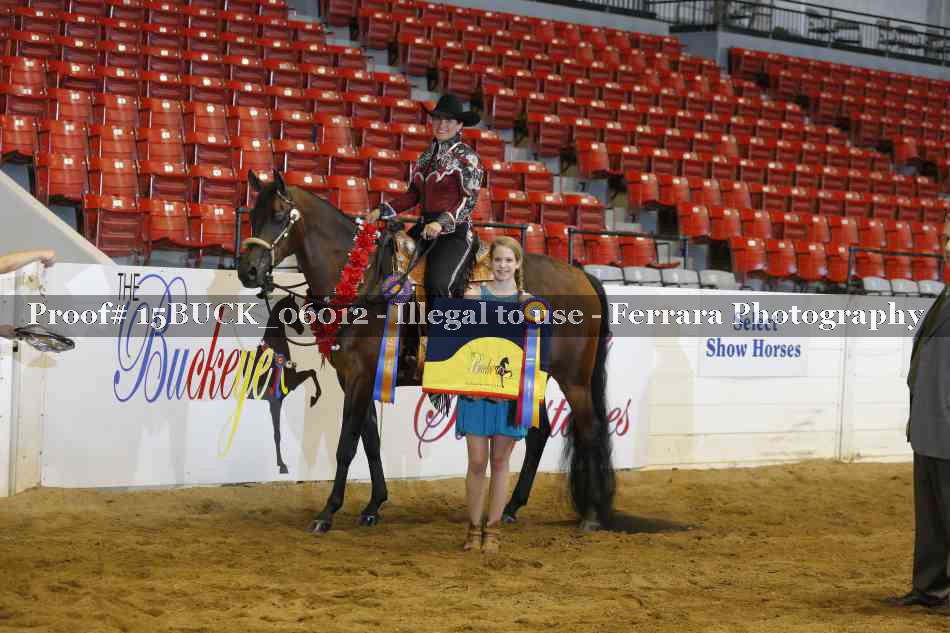 Proof 15BUCK_06012