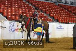 15BUCK_06012 proof