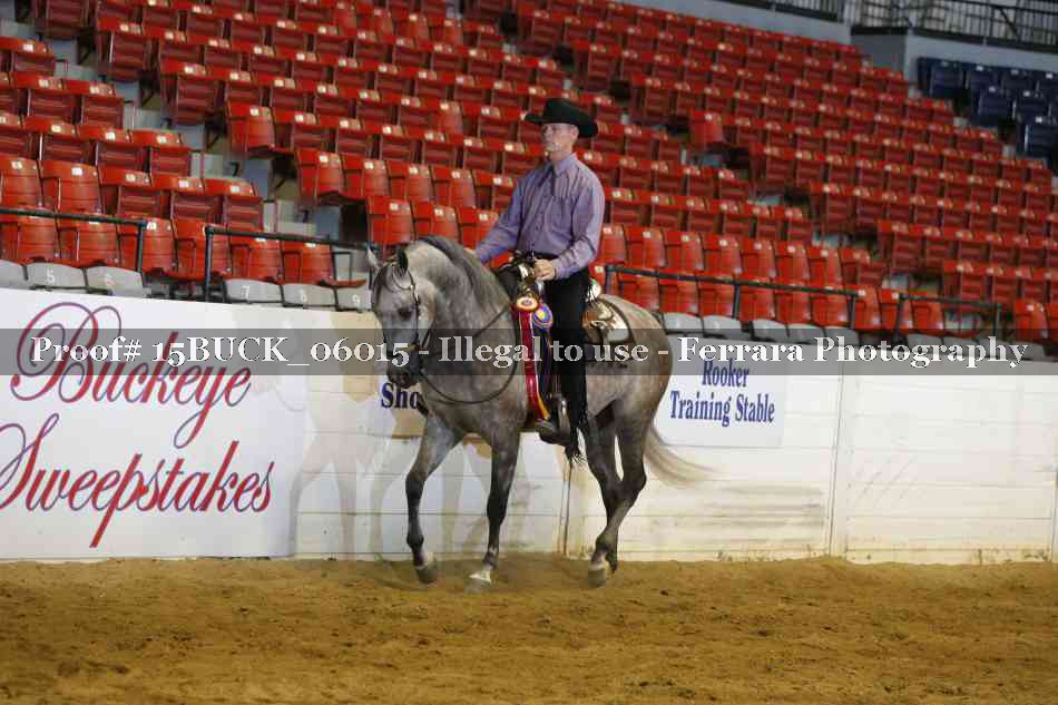 Proof 15BUCK_06015