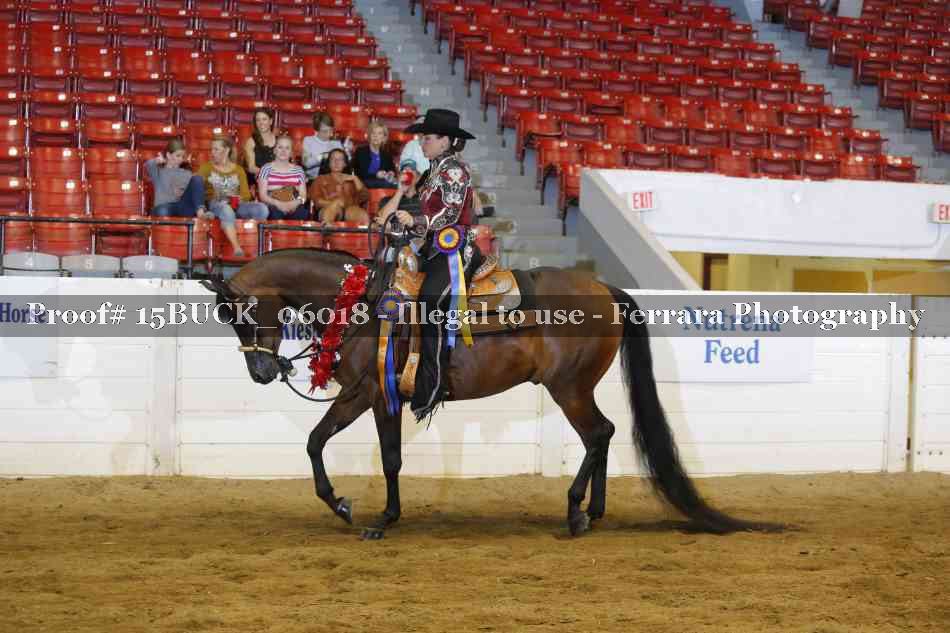 Proof 15BUCK_06018