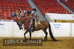 15BUCK_06018 proof