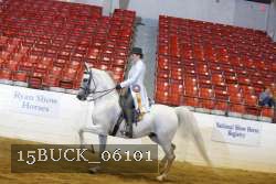 15BUCK_06101 proof