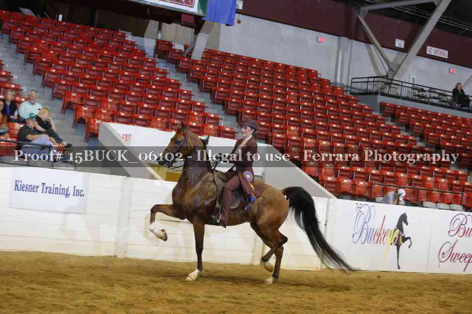 Proof 15BUCK_06102