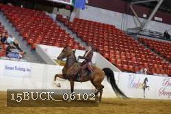15BUCK_06102 proof