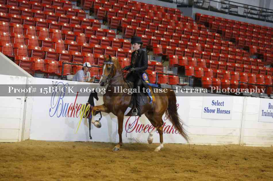Proof 15BUCK_06103
