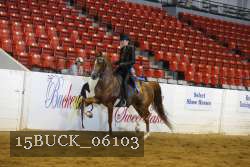 15BUCK_06103 proof