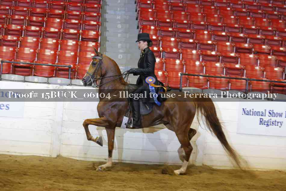Proof 15BUCK_06104