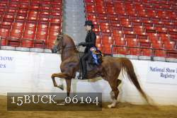 15BUCK_06104 proof