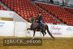 15BUCK_06106 proof