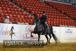 15BUCK_06107 proof