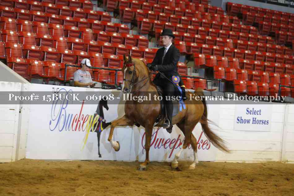 Proof 15BUCK_06108