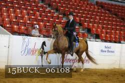 15BUCK_06108 proof