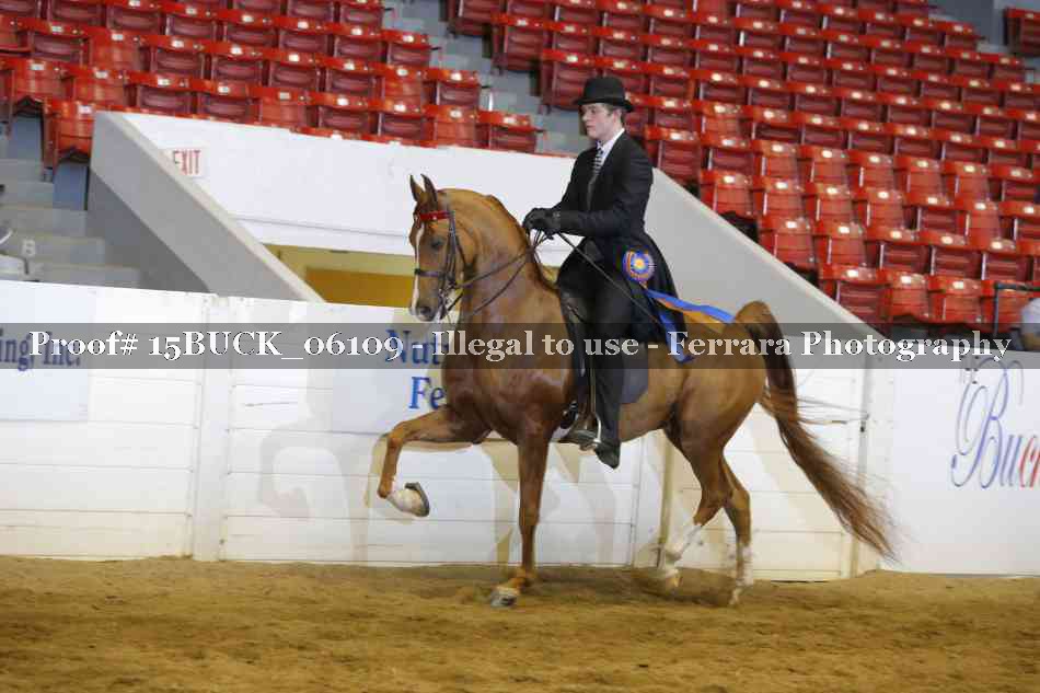 Proof 15BUCK_06109