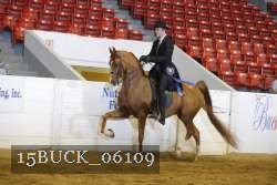 15BUCK_06109 proof