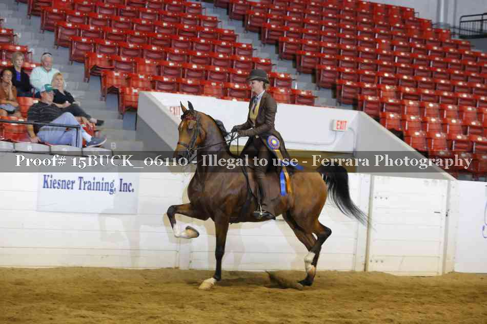 Proof 15BUCK_06110