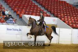15BUCK_06110 proof