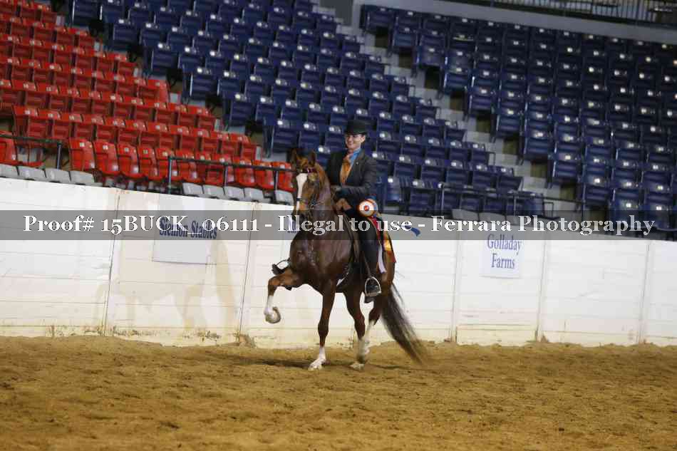 Proof 15BUCK_06111