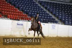 15BUCK_06111 proof