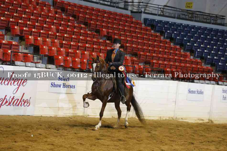 Proof 15BUCK_06112