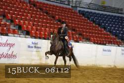15BUCK_06112 proof