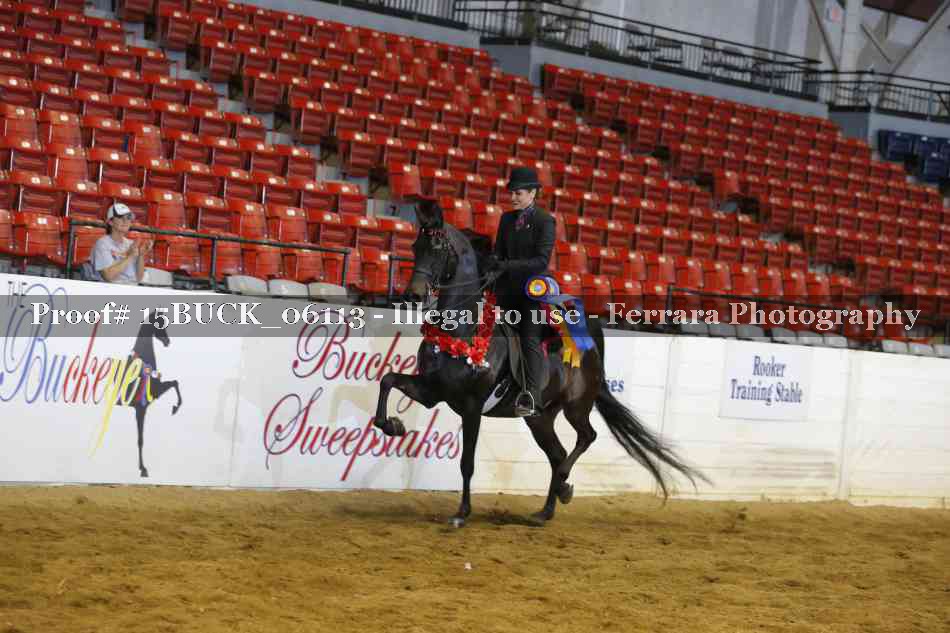 Proof 15BUCK_06113