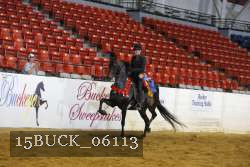 15BUCK_06113 proof