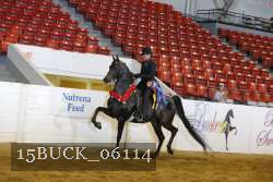 15BUCK_06114 proof