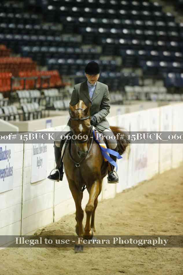 Proof 15BUCK_06069