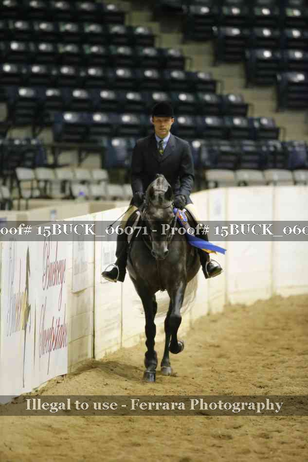 Proof 15BUCK_06071
