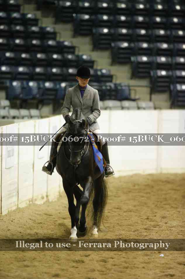 Proof 15BUCK_06072