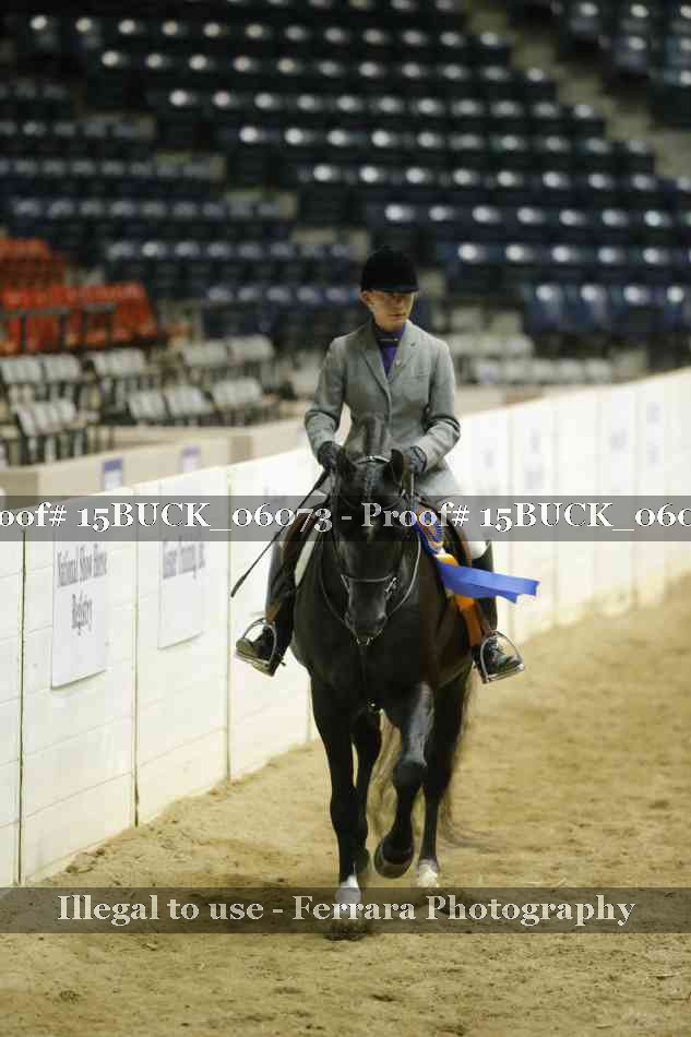 Proof 15BUCK_06073