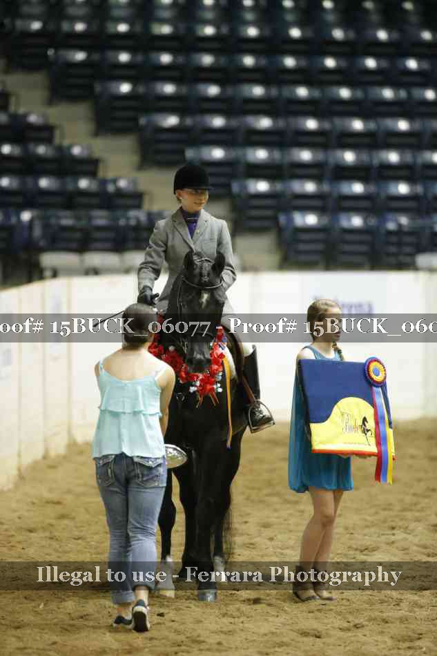 Proof 15BUCK_06077