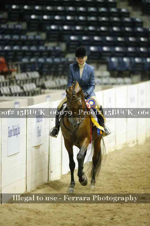 Proof 15BUCK_06079