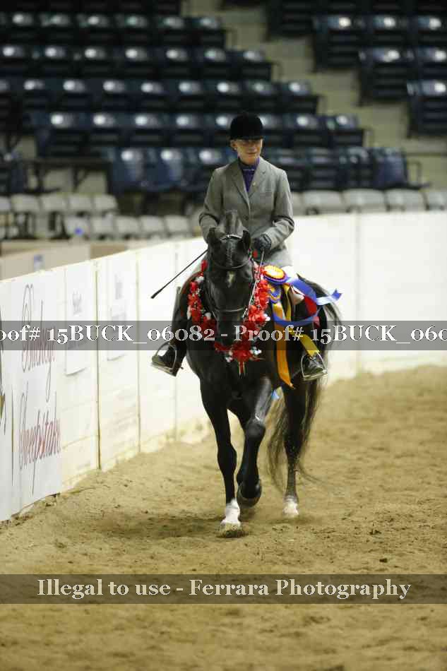 Proof 15BUCK_06082