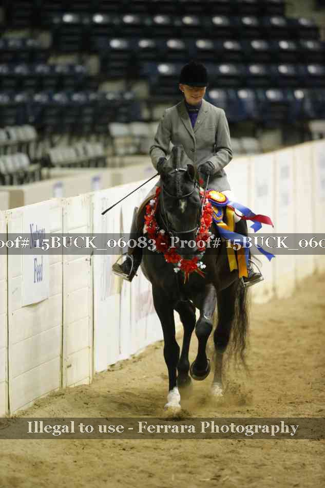 Proof 15BUCK_06083
