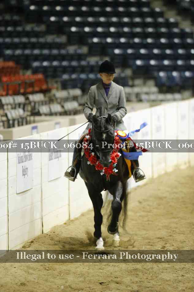 Proof 15BUCK_06084