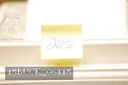 15BUCK_06115 proof