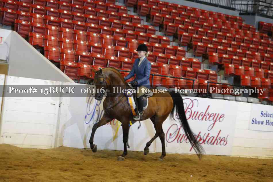 Proof 15BUCK_06116