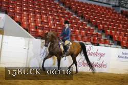 15BUCK_06116 proof