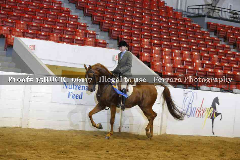 Proof 15BUCK_06117