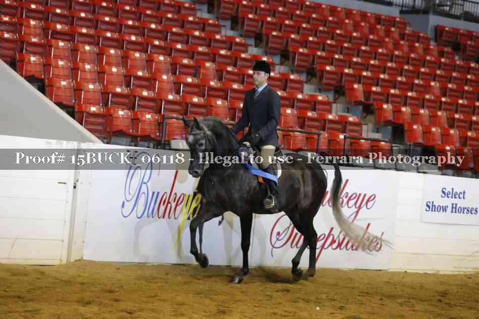 Proof 15BUCK_06118