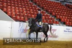 15BUCK_06118 proof