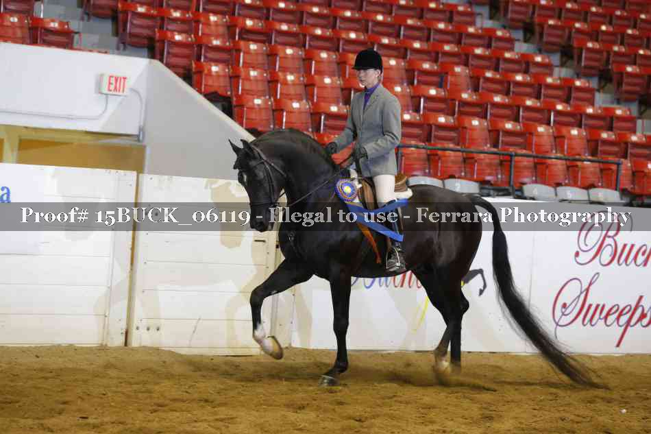 Proof 15BUCK_06119